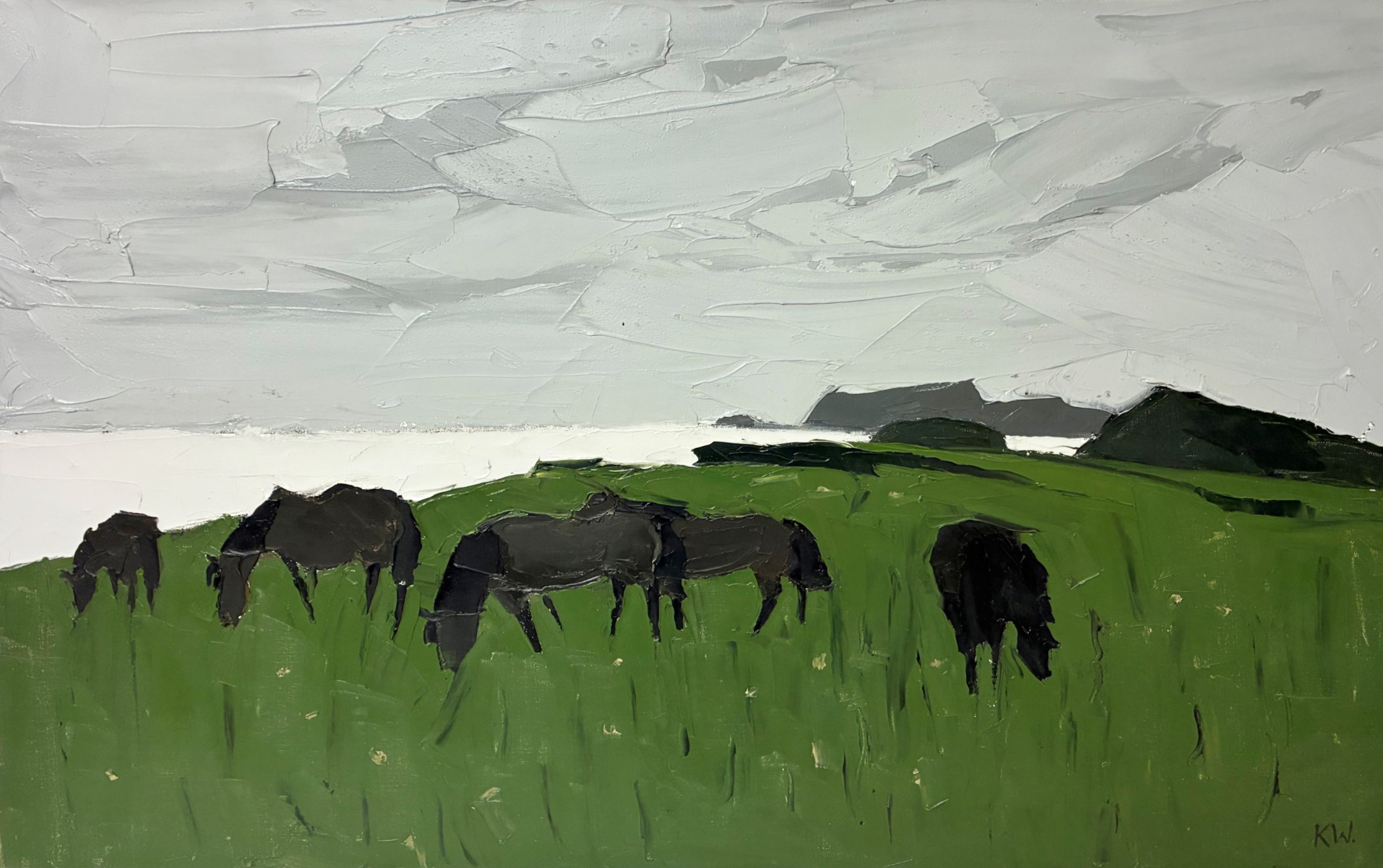 Ponies, Porth Dafarch